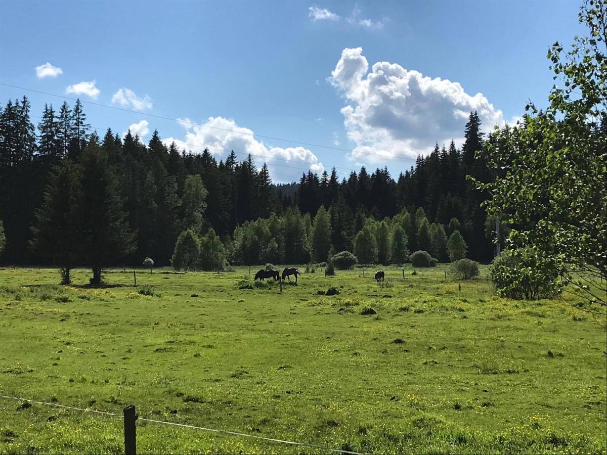 Apartmán 12 Stožec Exteriér fotografie